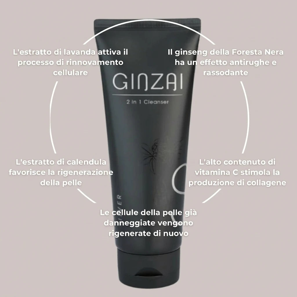 Ginzai 2 IN 1 CLEANSER Benefits