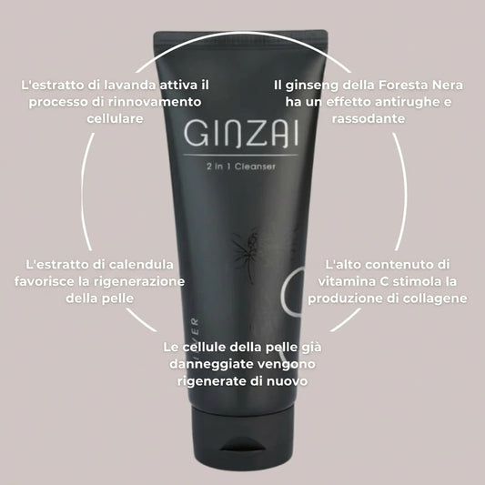 Ginzai 2 IN 1 CLEANSER Benefits