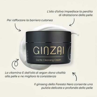 Ginzai GENTLE CLEANSING CREAM Details