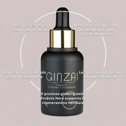 Ginzai HYALURON COMPLEX CONCENTRATE Benefits