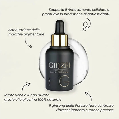 Ginzai HYALURON COMPLEX CONCENTRATE Description