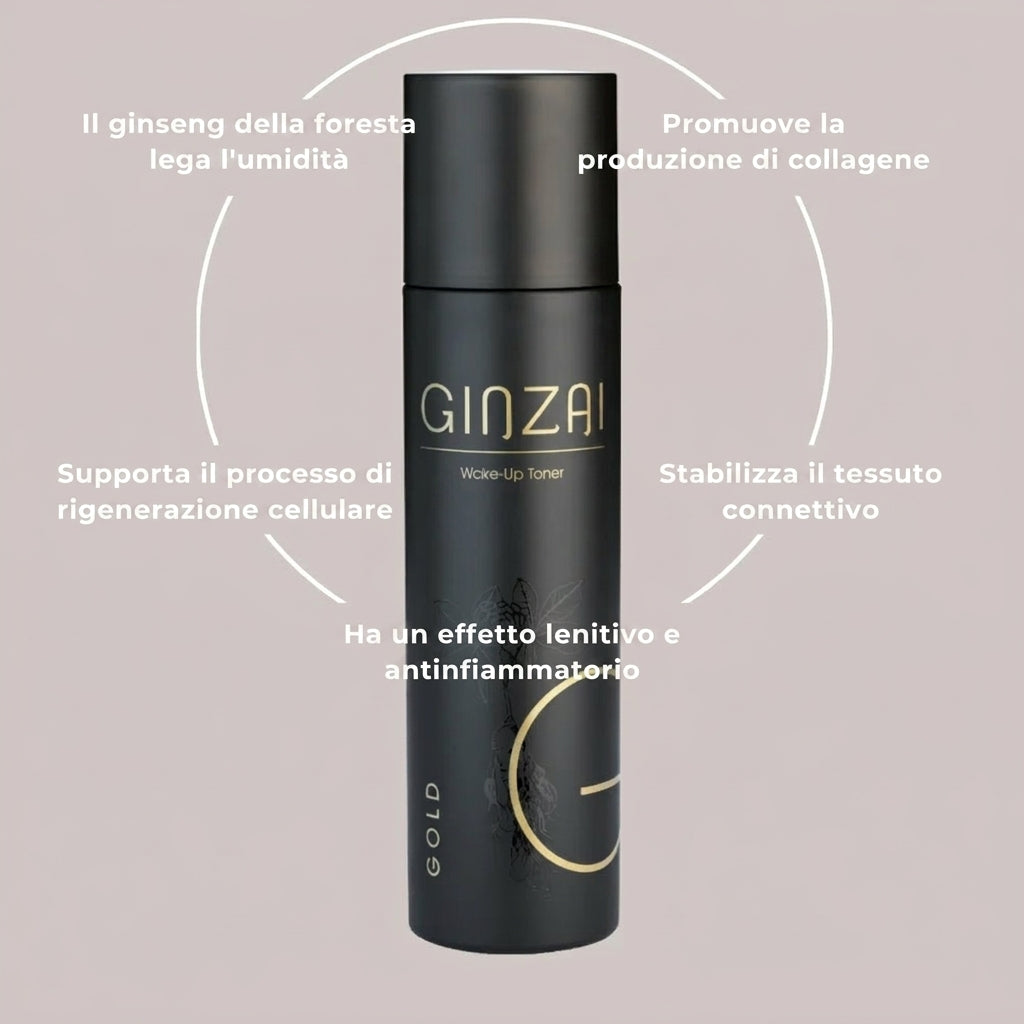 Ginzai WAKE-UP TONER Details