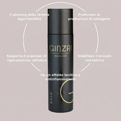 Ginzai WAKE-UP TONER Details